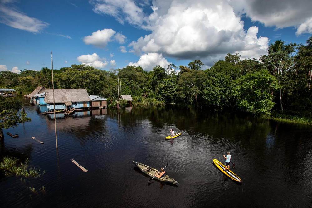 Rainforest Cruises Water activities amidst sheer tranquility.